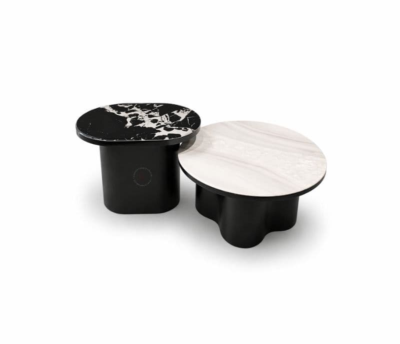 Image 3 for Centre Table CJ 280 1+1 Marble Top With Ash Wood Base (HYD)