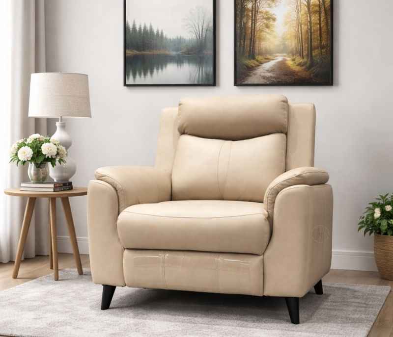 Power Recliner Boat E Single Seater (CP)