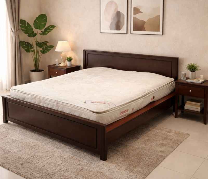 Spine Pro PT (HYD OTD)