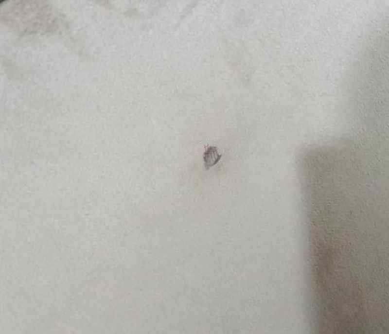 Image 8 for R5028B31-1S-D134 Manual Single Recliner (WH OTD)