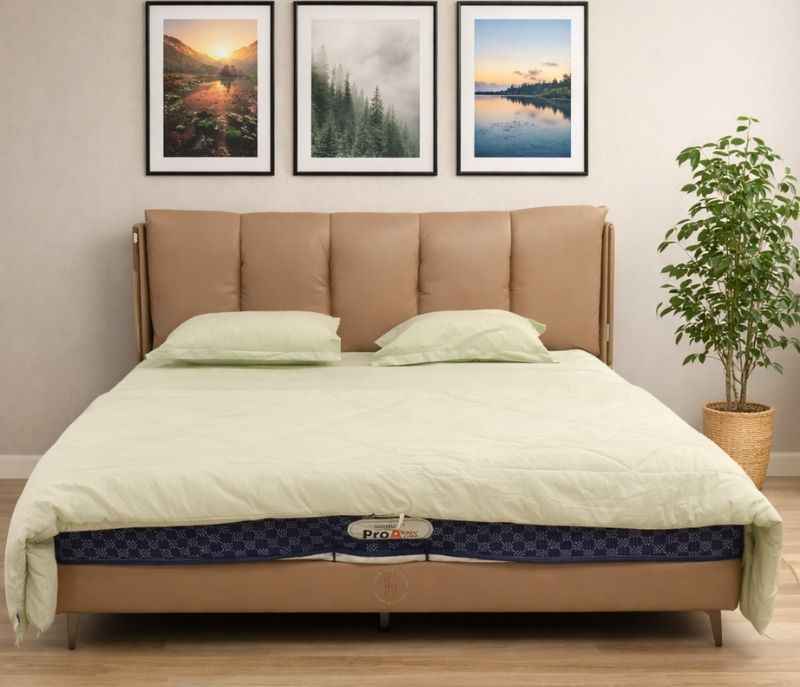 Model 2503 - BS King Size Without Storage BS-(SKN)(CP)