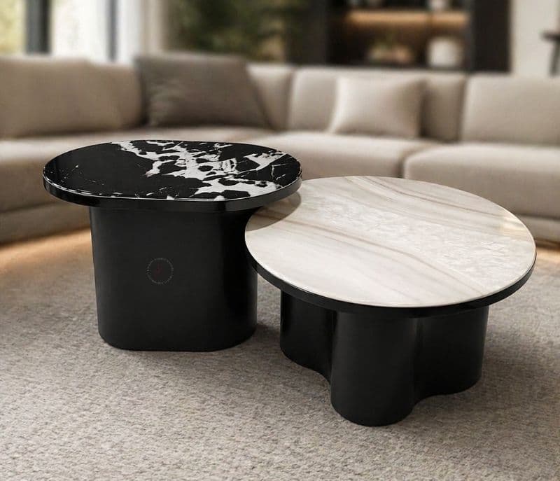 Centre Table CJ 280 1+1 Marble Top With Ash Wood Base (HYD)