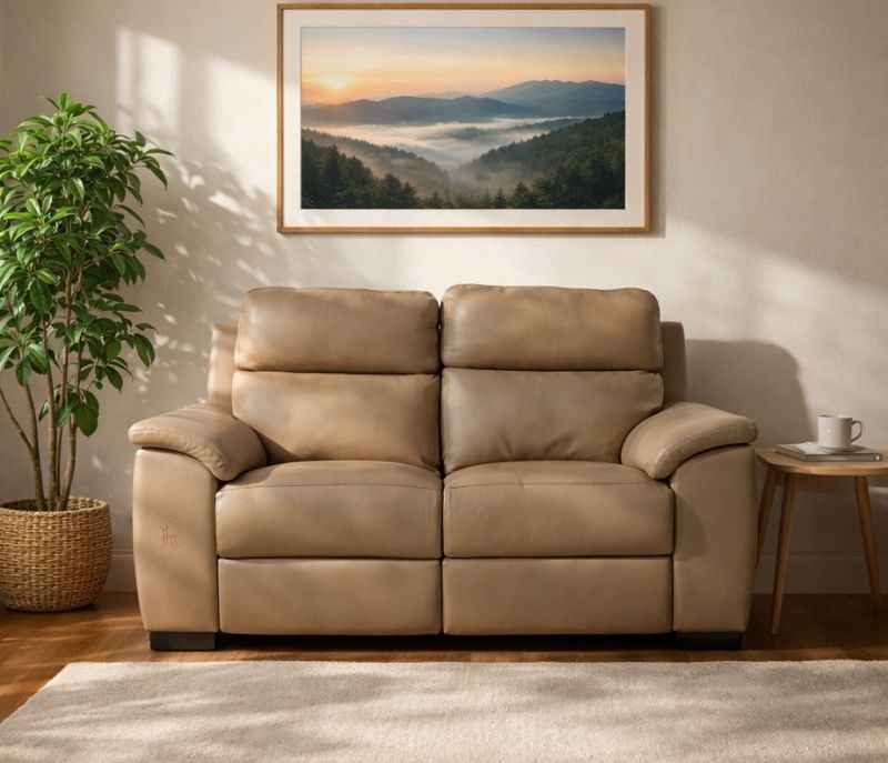 Stanley- 2 seater sofa (WH OTD)