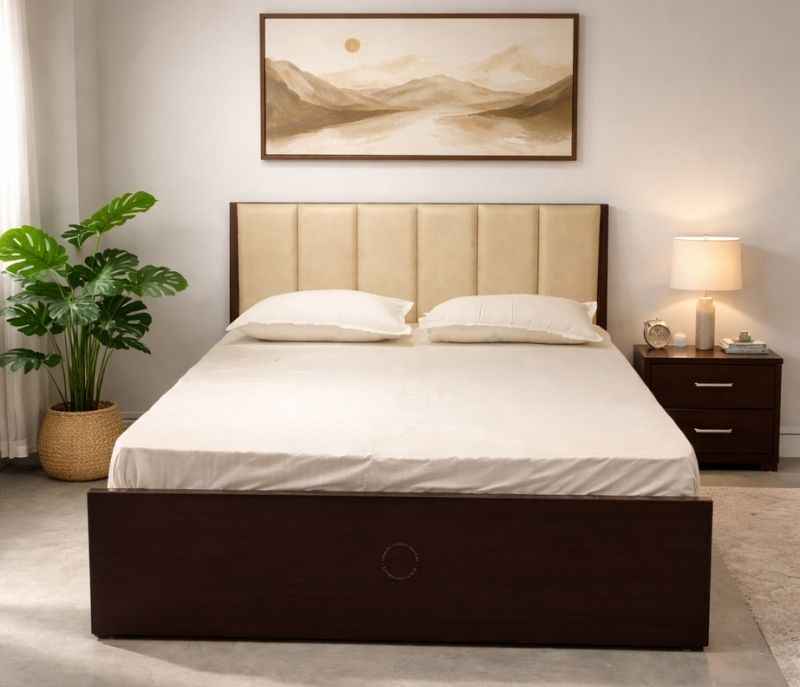 Cushion Patti King Size With Storage and Drawer (Block Board, Brown) (SKN)(EC)