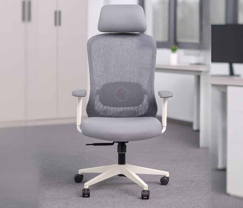 HAWK HB Grey White  Ergonomic High-Back Mesh Office Chair  Adjustable Height  Revolving Study Work from Home Chair Computer Desk Chair  Back Lumbar Support  Ergonomic Chair  Tilting  Arm Support