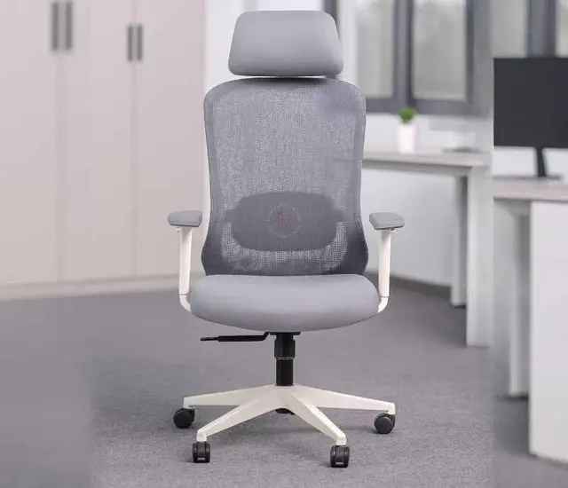 Ergonomic Chairs