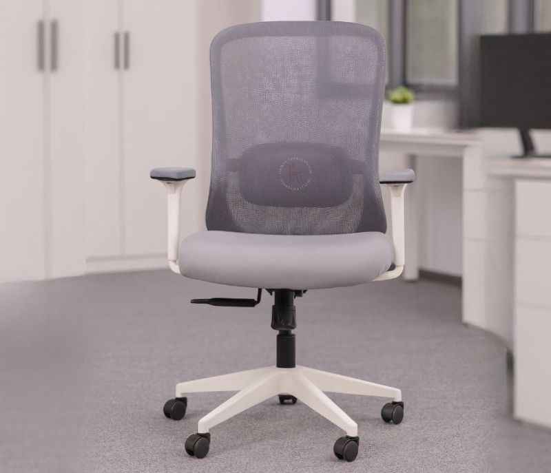 HAWK MB Grey White  Ergonomic High-Back Mesh Office Chair  Adjustable Height  Revolving Study Work from Home Chair Computer Desk Chair  Back Lumbar Support  Ergonomic Chair  Tilting  Arm Support