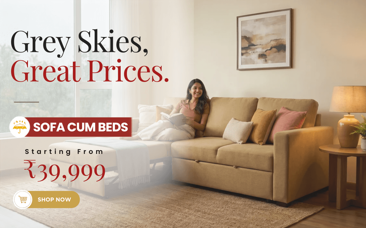Sofa Cum Bed