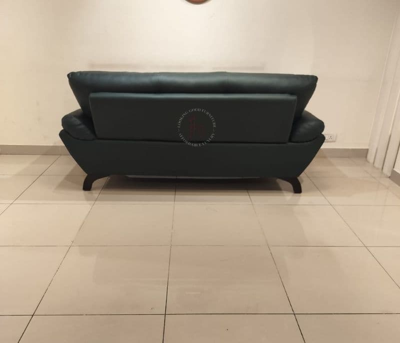 Image 6 for Florida Sofa (BSK)