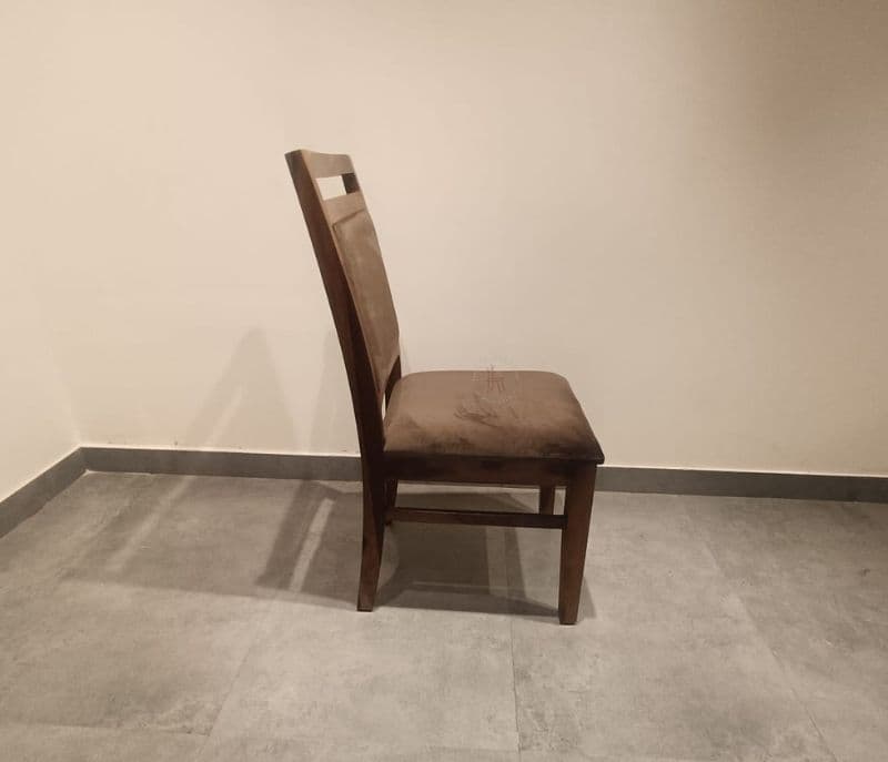 Image 5 for Ul Scholer DT (BSK)