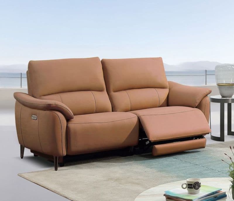 6659 Power Recliner (New Arrival)