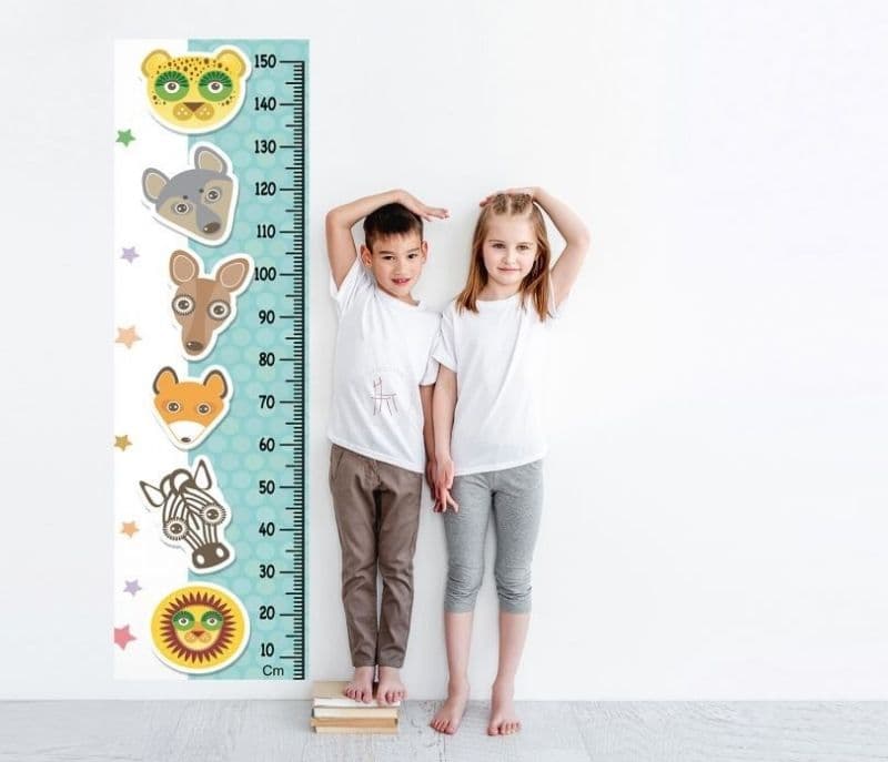 Liv Jungle Animals Kids Height Chart Wall Decal