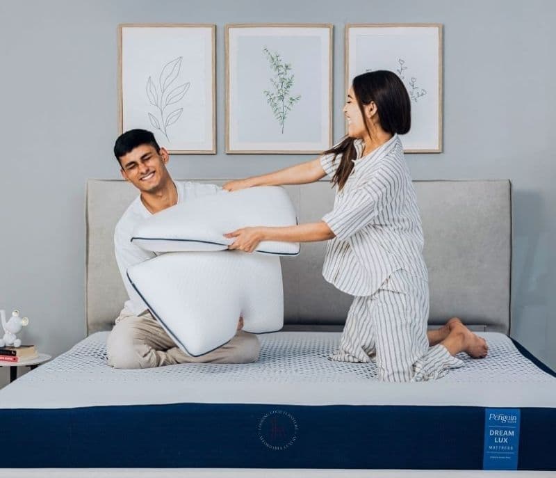 Kinley Penguin - Dream Lux Memory Foam Mattress 10 Years Warranty Medium Firm, Orthopedic Memory Foam AeroWAVE Technology Charcoal Infused Layer