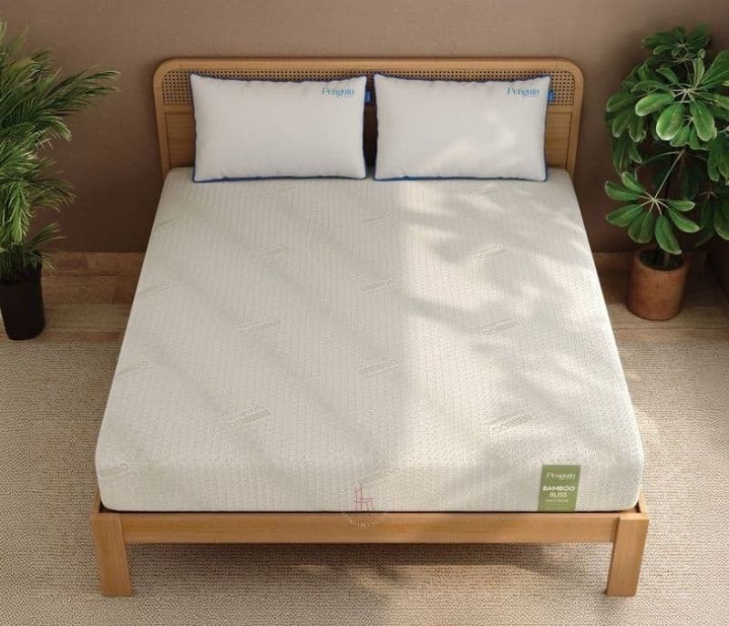 Image 4 for Estrella Bamboo Bliss Latex Mattress 10 Years Warranty Soft Feel Latex Pinhole Layer 7 Zone CNC-Cut Charcoal Infused HR Foam