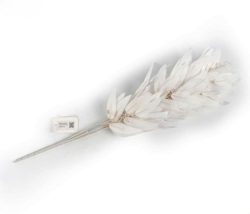 Image 5 for Alanna Feathers Artificial Plant Plastic Iron Leaf- Set Of 3