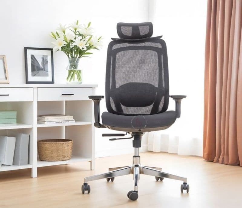 Myra High Back Ergonomic Mesh Office Chair with Recline & Slide Adjustability