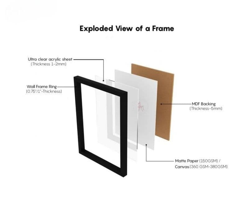 Image 4 for Henley Fern Botanical Art Wall Frame