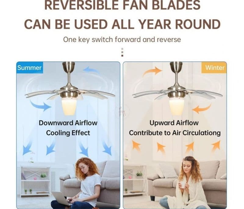 Image 6 for Love Daisy Chandelier Fan With Three Colour Changing Lights