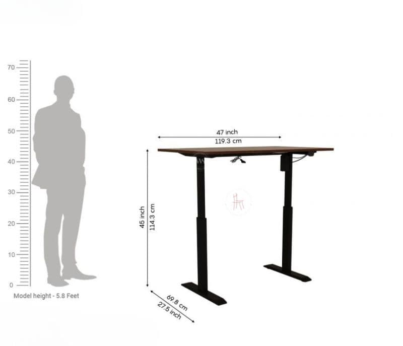 Image 11 for Maia Motorized Height Adjustable Electric Study Table