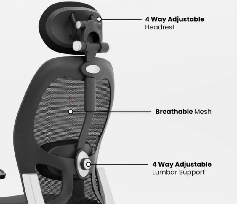 Image 4 for Royalty Go Ergonomic Office Chair with Adjustable Headrest