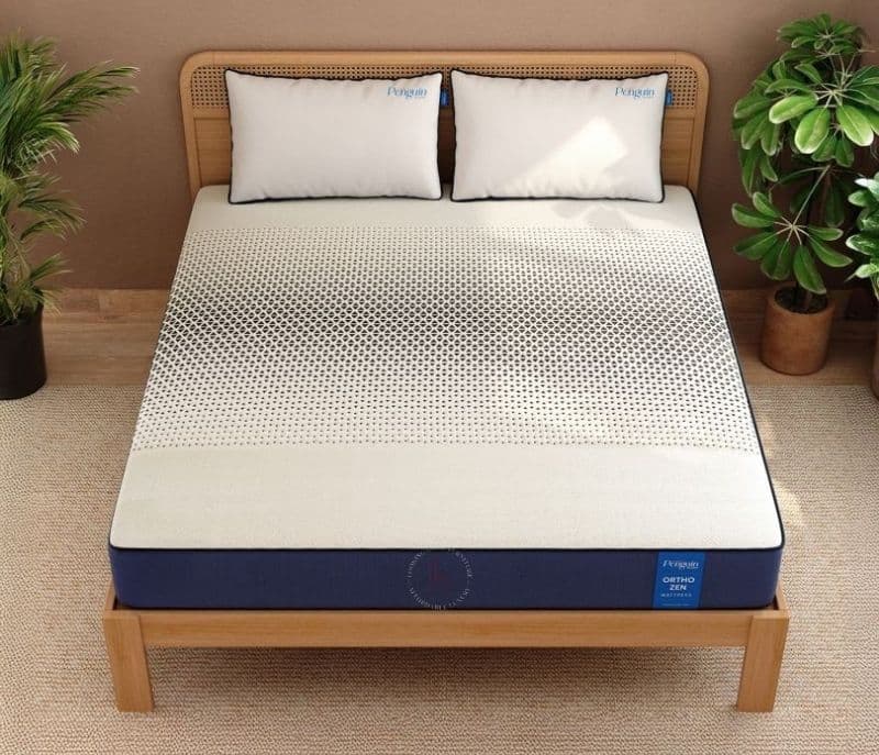 Image 6 for Clover Ortho Zen Mattress Orthopedic Firmness 10 Years Warranty AeroWAVE Technology