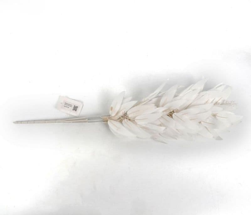 Image 3 for Alanna Feathers Artificial Plant Plastic Iron Leaf- Set Of 3