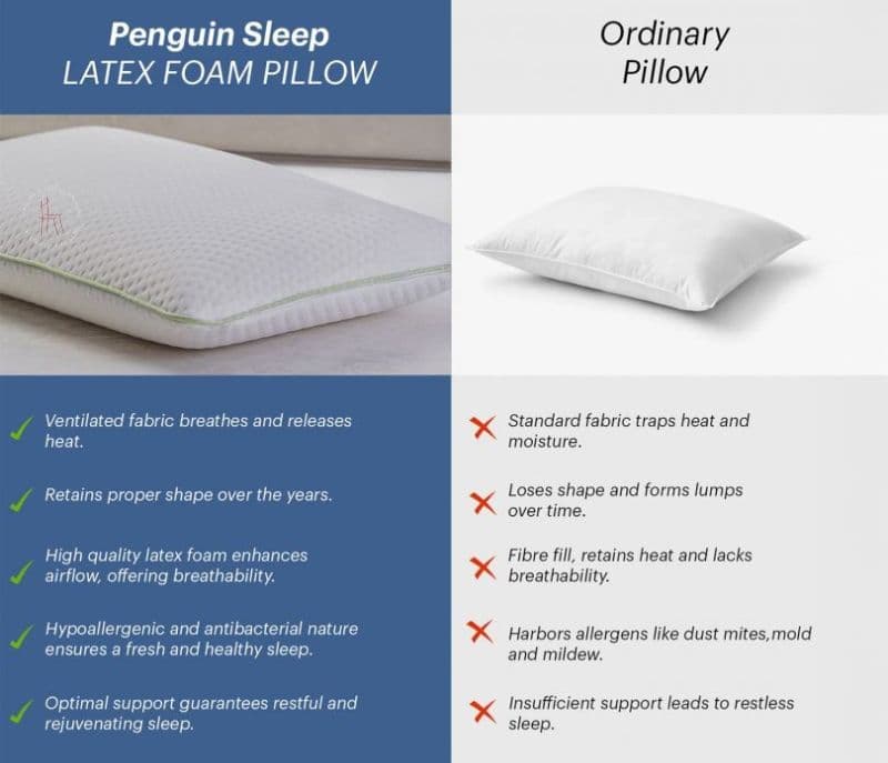 Image 4 for Amist Ultra Comfort Latex Pincore Bounce Back Pillow For Neck And Shoulder Pain Relief With Removable Cover