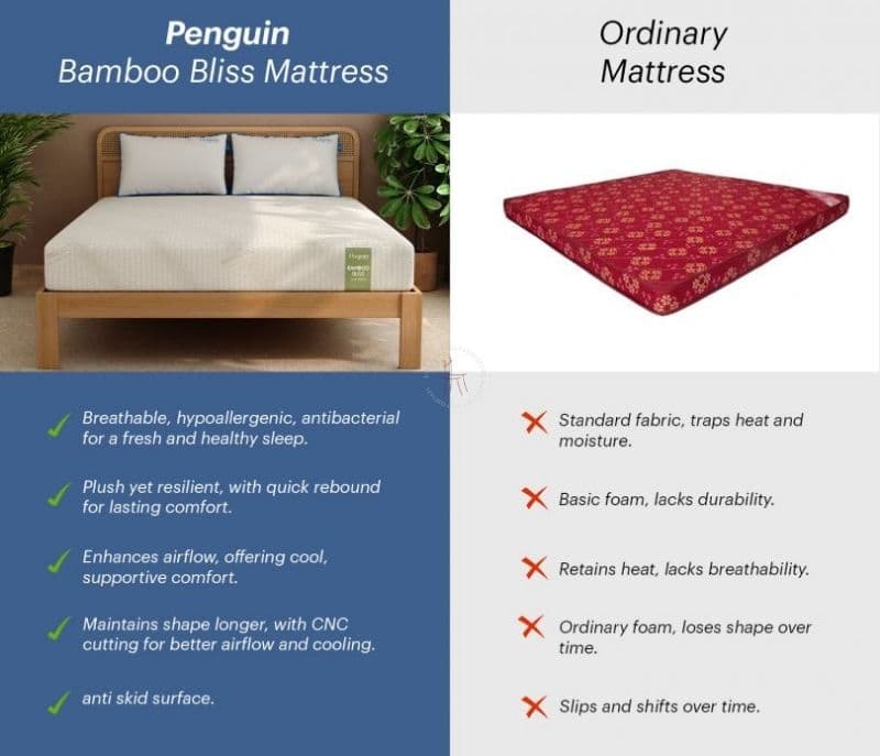 Image 6 for Estrella Bamboo Bliss Latex Mattress 10 Years Warranty Soft Feel Latex Pinhole Layer 7 Zone CNC-Cut Charcoal Infused HR Foam