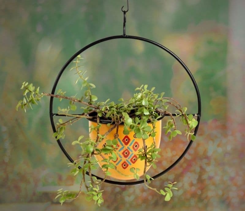Aspen Yellow Hanging Metal Planter