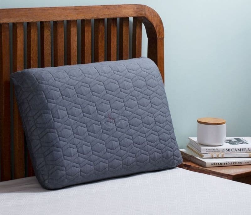 Lilliana Luxuriously Set of 2 Plush Pillow Cover With Zipper Outer Cover