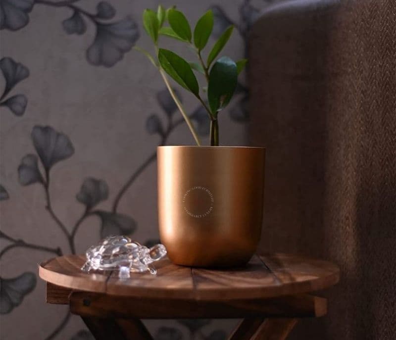 Elianna Set of 2 Round Metal Planter for Home Decor