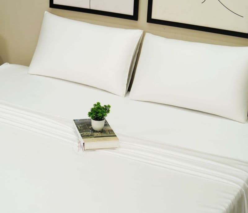 Image 4 for Viviana Organic Bamboo Bedsheet Queen Size Bed, 300 TC with 2 Pillowcases and 1 Fitted Bedsheet