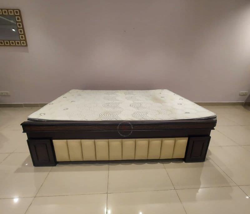 Spine Pro RB MF ET Mattress 78X60X6 Queen Size(HYD OTD)