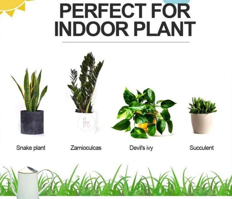 Image 4 for Rowan Metal 1.5 Liter Watering Can