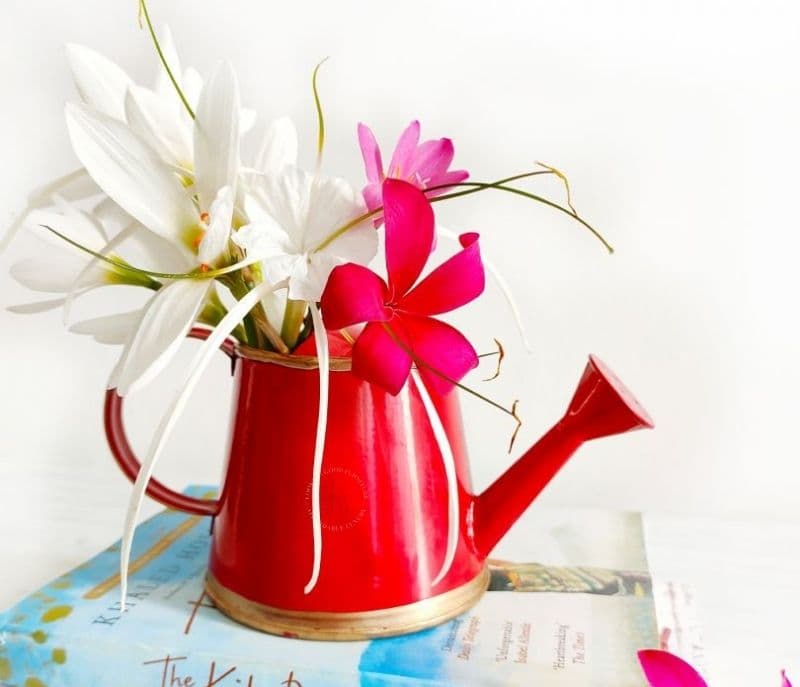 Image 4 for Talia Metal 250 ml Watering Can