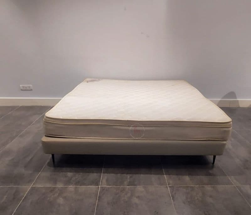 Extrodino ET Mattress Size 78X72X6 King Size (HYD OTD)