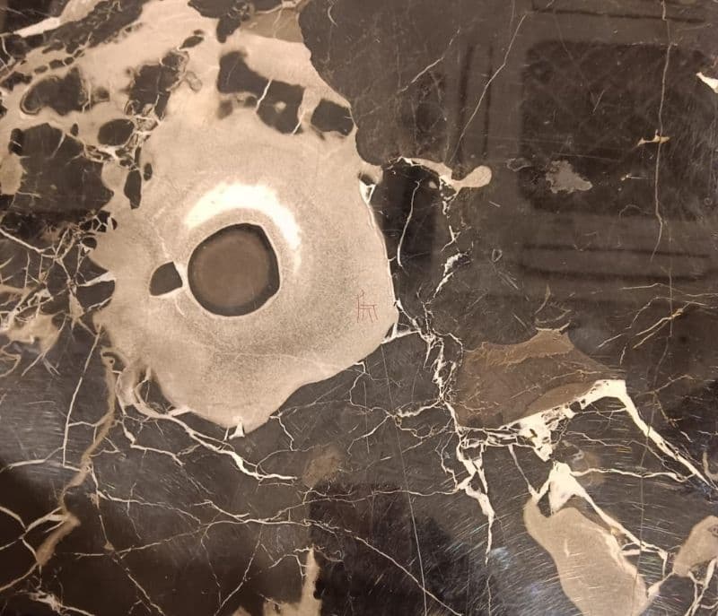 Image 19 for D/Set 8+1 (2310/824) 8+1 Chairs Marble Top Table (CP OTD)