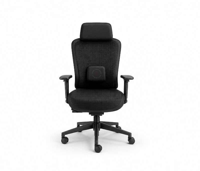 Image 2 for Adonis HB Black Special (Surya) Office Chair (PM)